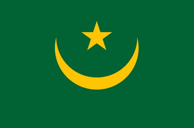 Mauritania Flag (Sewn)